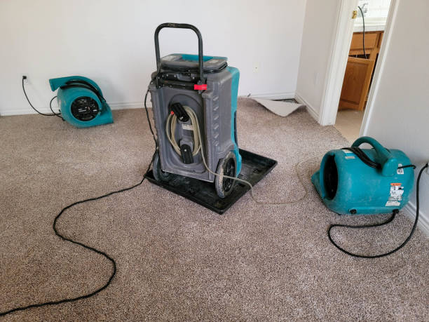 Best Water damage restoration near me  in Clark, SD