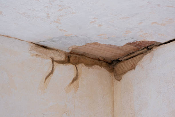 Best Professional water damage repair  in Clark, SD