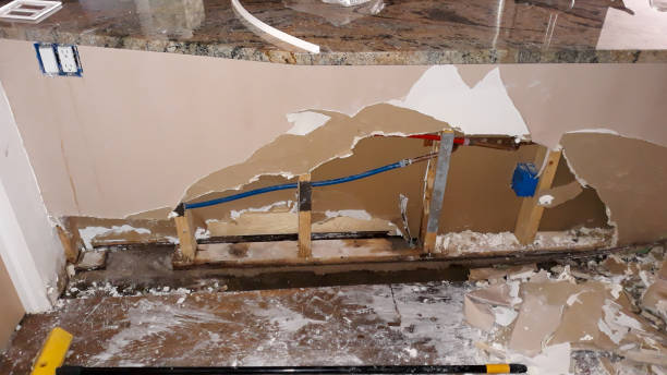 Best Local water damage restoration  in Clark, SD
