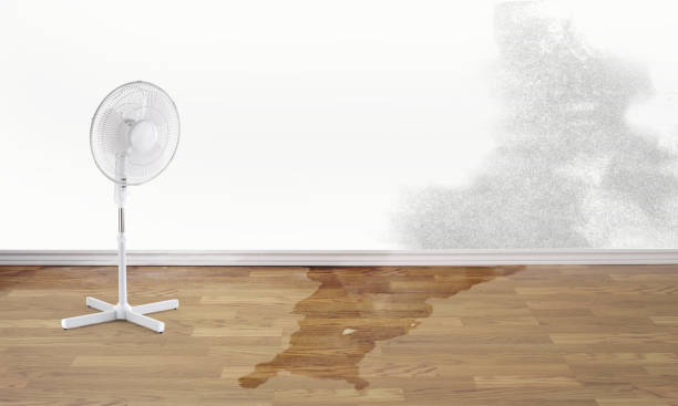 Best Water damage restoration cost  in Clark, SD