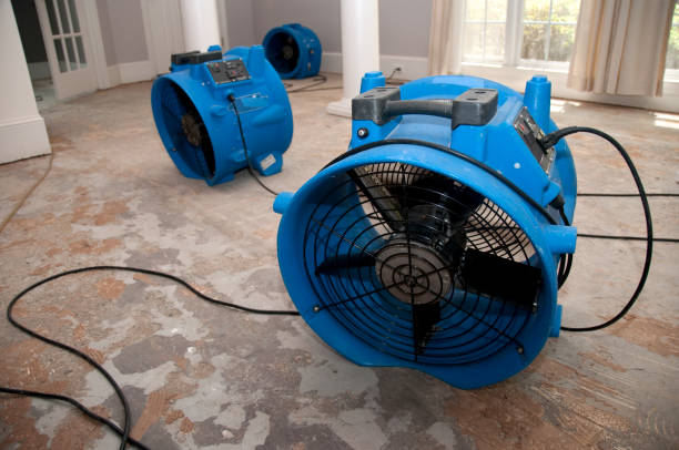 Best Water damage restoration specialists  in Clark, SD
