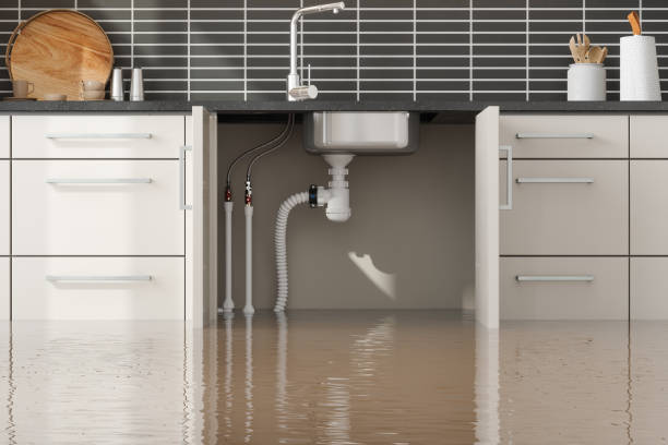 Best Ceiling water damage repair  in Clark, SD