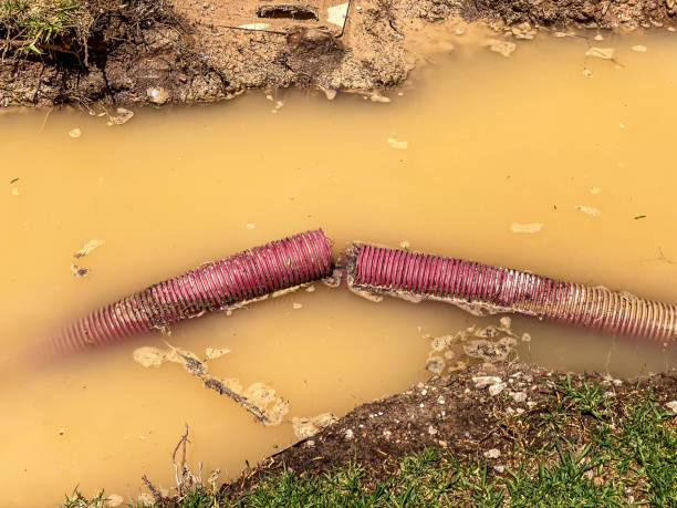 Best Commercial water damage restoration  in Clark, SD